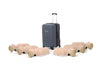 Laerdal Little Anne Light 6 Pack - 135-01350