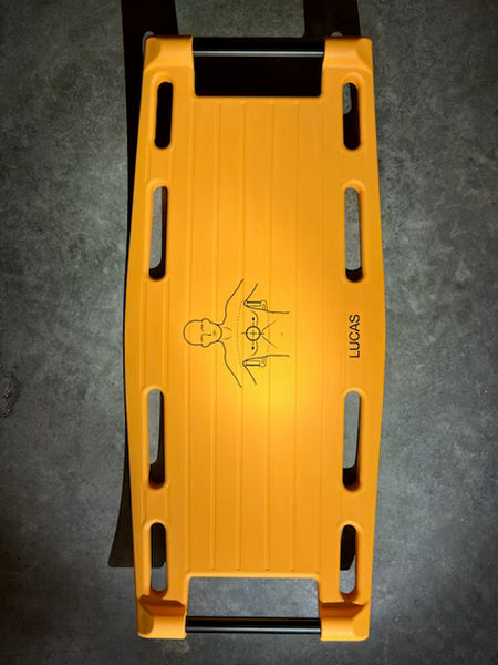 Lucas Backplate - Used - 100893-00