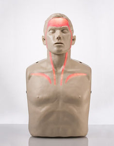 BRAYDEN LED CPR MANIKIN - IM13-R